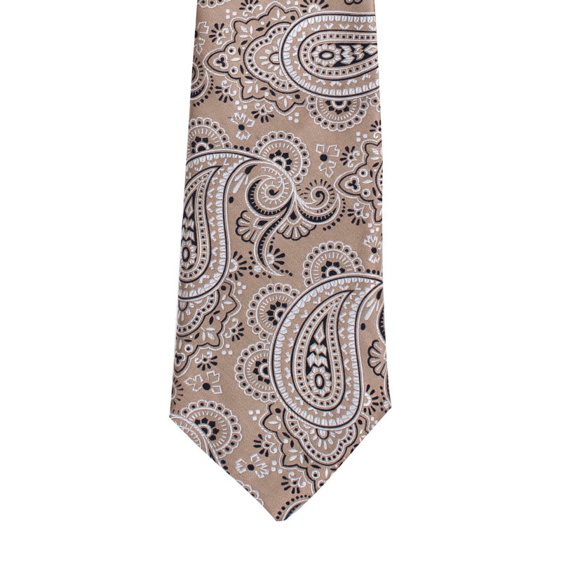 BIG PAISLEY MOTIF WOVEN SILK TIE - ECRU
SC.WP.006