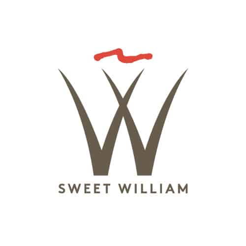 SWEET WILLIAM