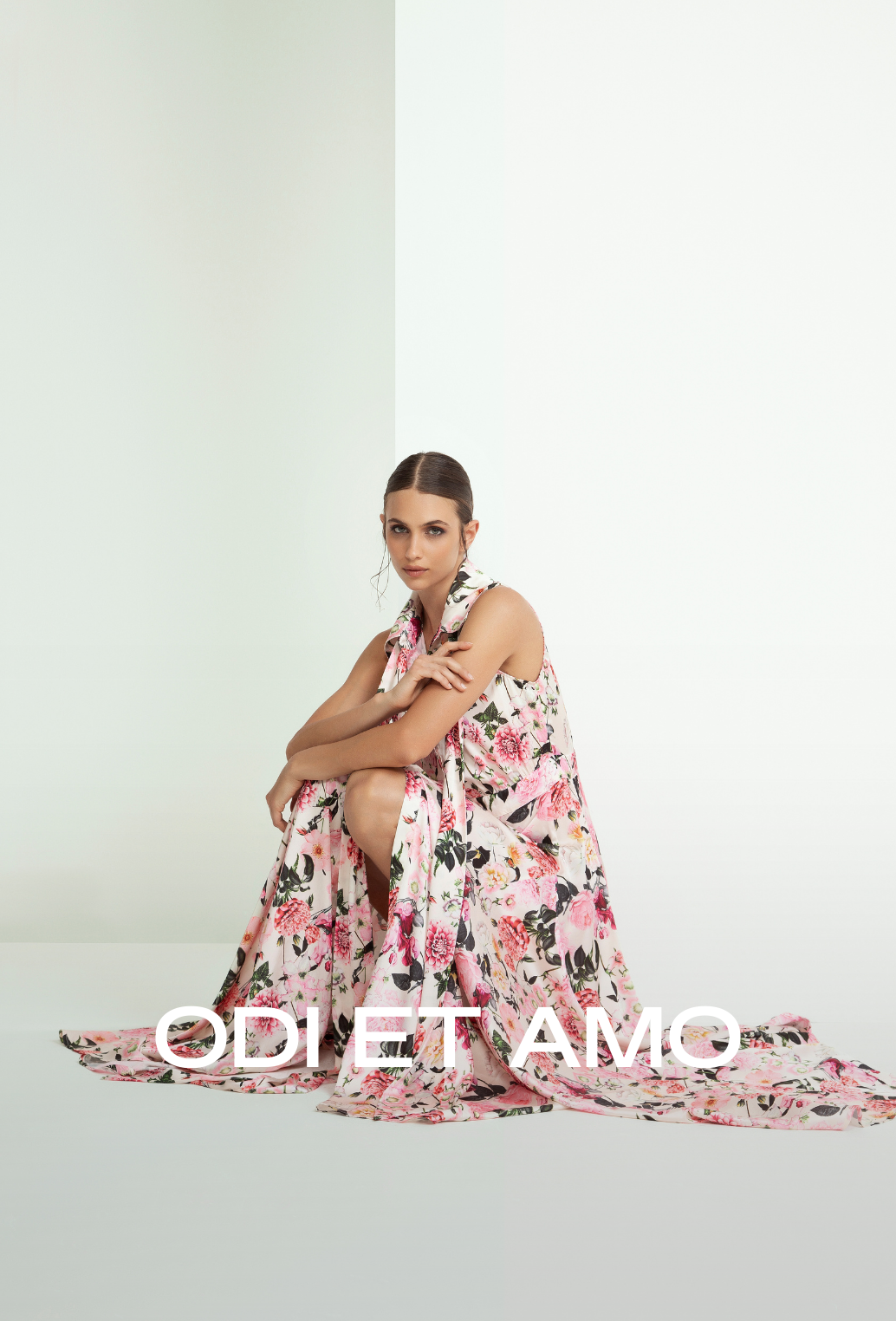 ODI ET AMO
