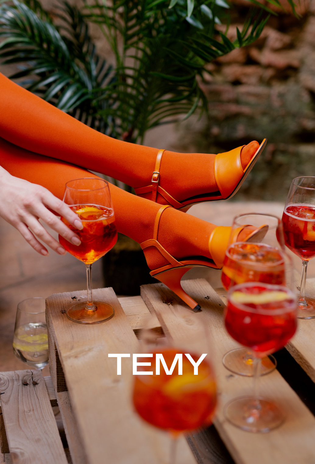 Temy