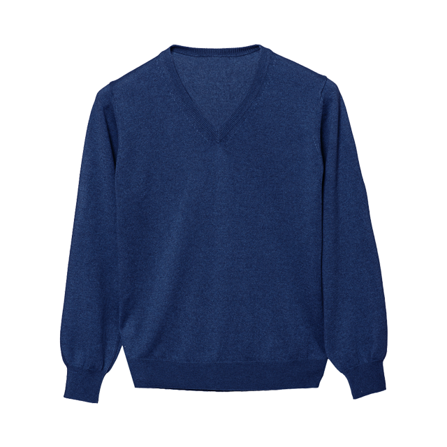 PURE CASHMERE V NECK MAN SWEATER