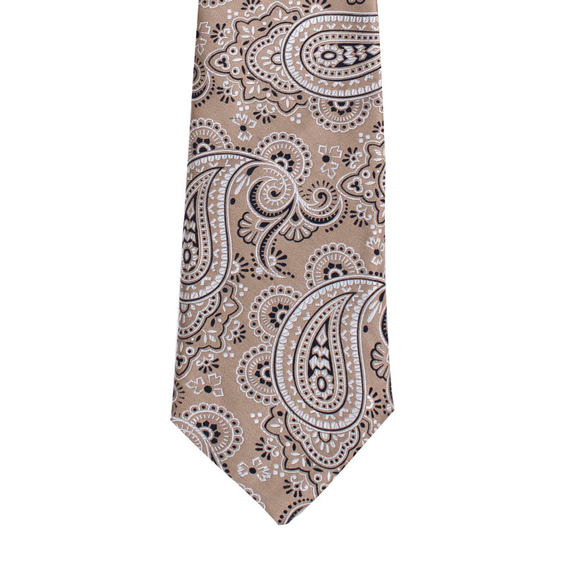 BIG PAISLEY MOTIF WOVEN SILK TIE - ECRU

SC.WP.006