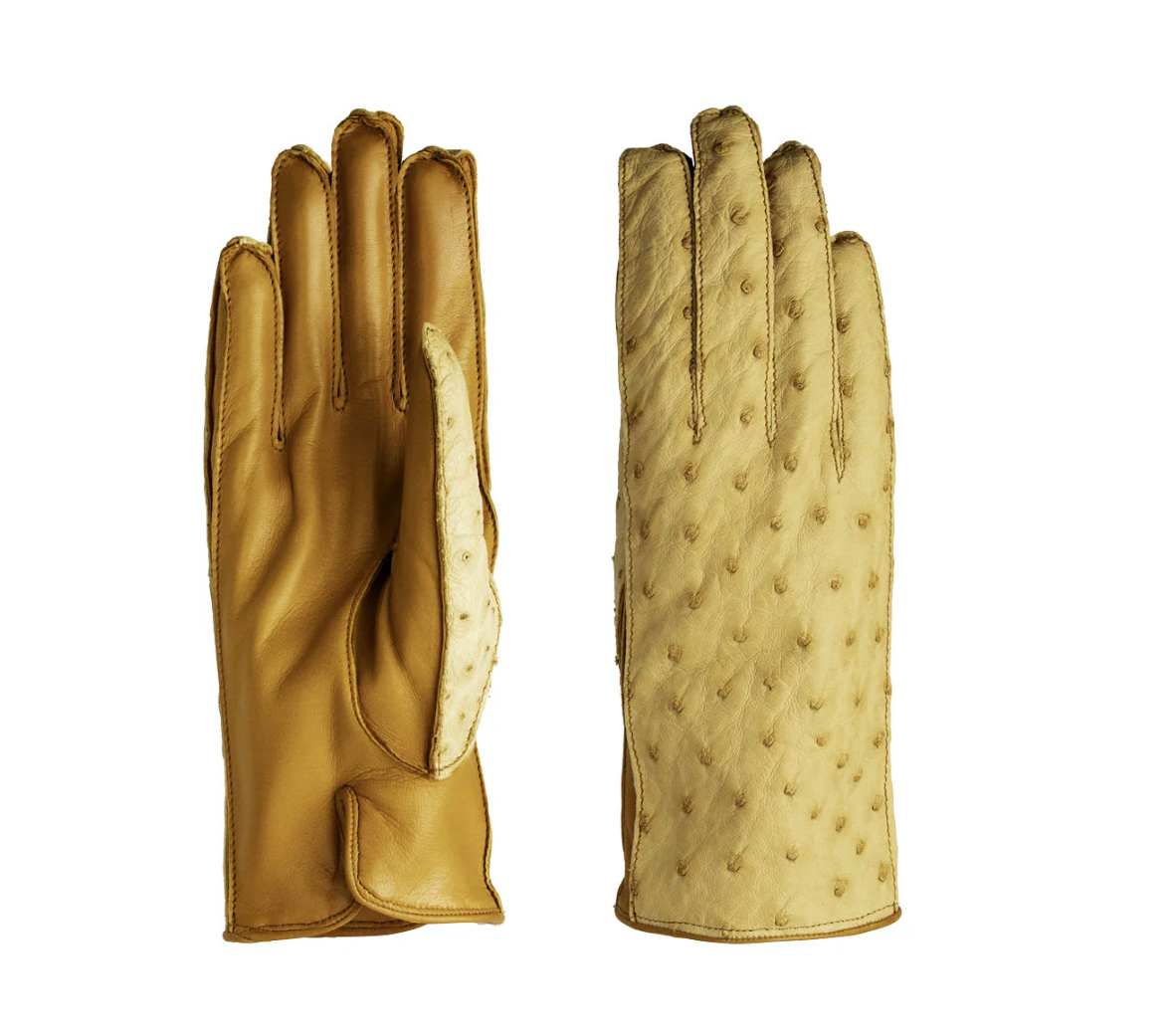 Women's gloves in genuine metis leather and ostrich back lined in cashmere